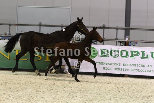 PAN CARRE_MILANO_2010_SS3_8368.jpg